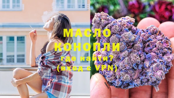 МДПВ Бородино