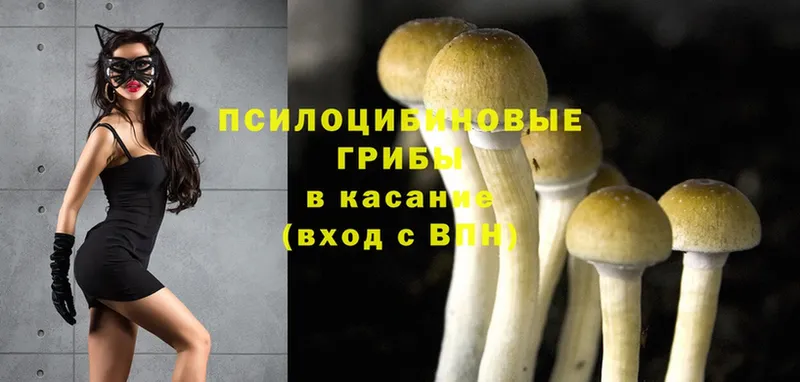 Галлюциногенные грибы Psilocybine cubensis  ссылка на мегу онион  Ноябрьск 